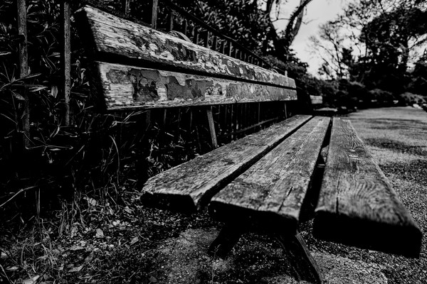 Banc en bois usé photographié en noir et blanc dans le parc du Palais Longchamp à Marseille, avec une allée et des arbres en arrière-plan.