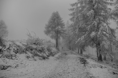Chemin enneigé dans les Alpes avec des arbres couverts de neige, du brouillard et une personne marchant au loin.