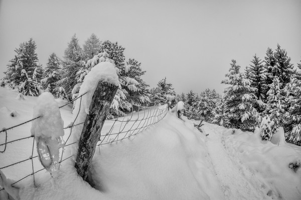 Chemin enneigé dans les Alpes avec barrière d’alpage, poteau en bois et forêt de conifères sous la neige