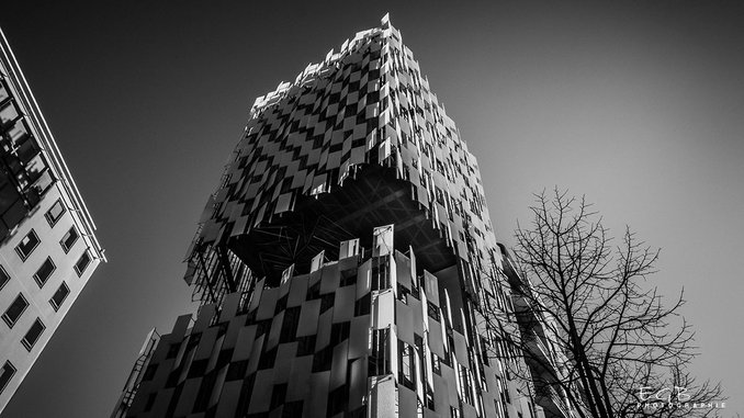 modern-tree