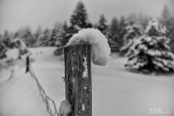 winter-hat